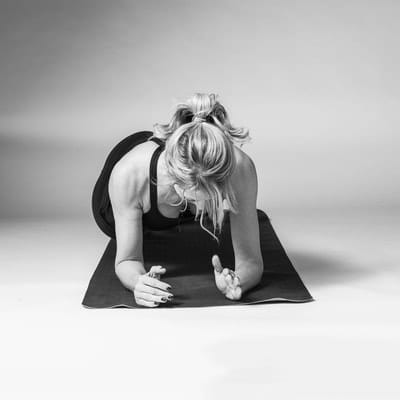 Forearm Plank: Torso Twist - Photo 2